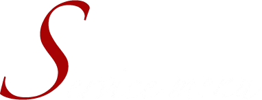 Service menu