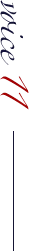 voice 11