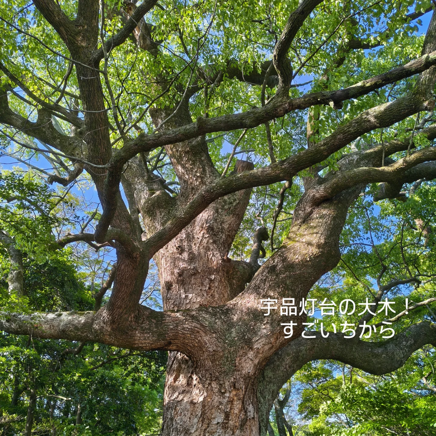 凪の5月を越えて、水無月へ