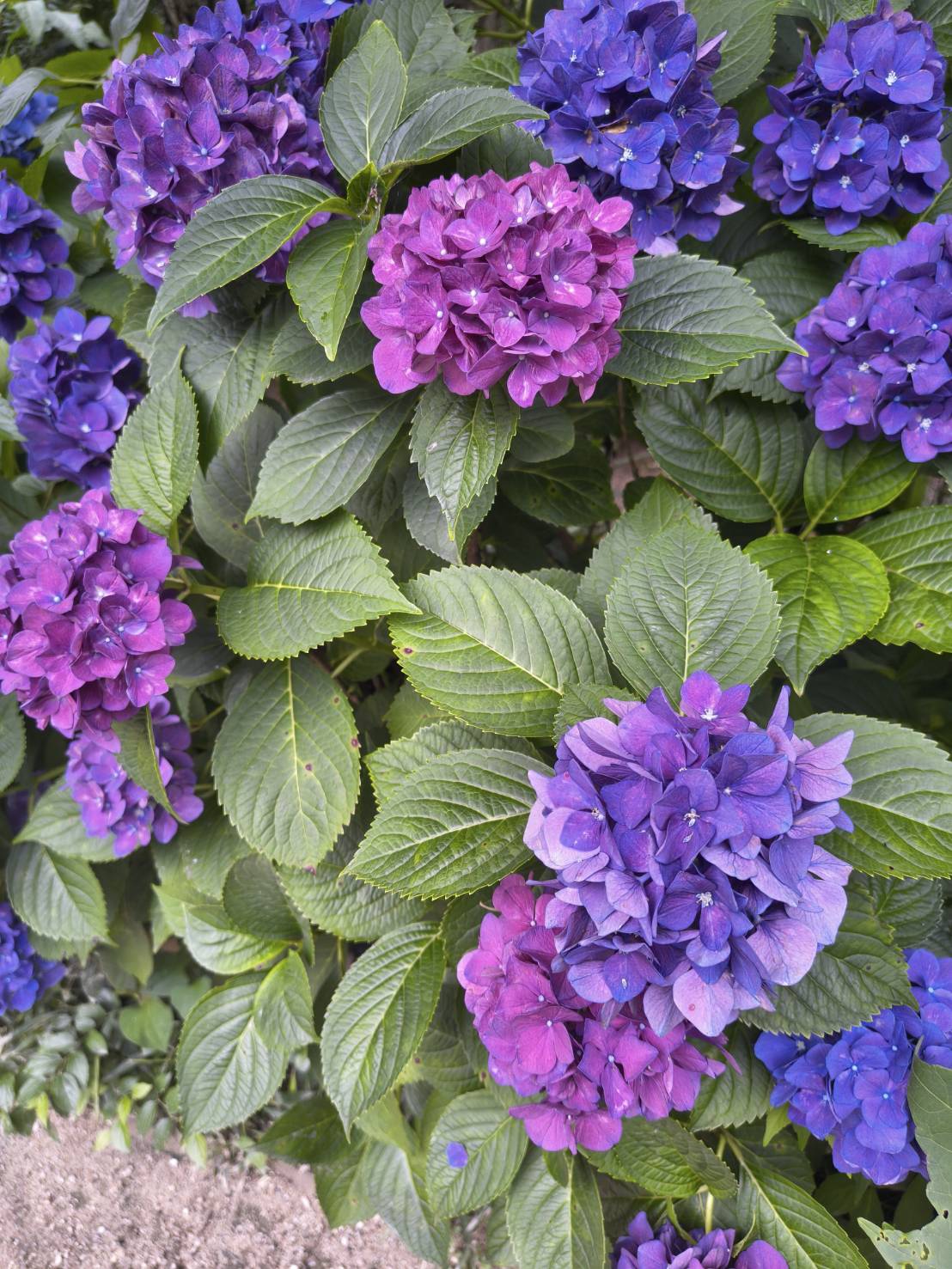 6月末雑感
