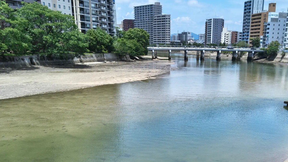 【7月末雑感】水瓶座満月と充電期。8月は末広がりな循環の月へ